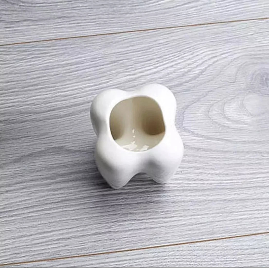 Tooth 🦷 shaped bathroom accessorie /plant pot