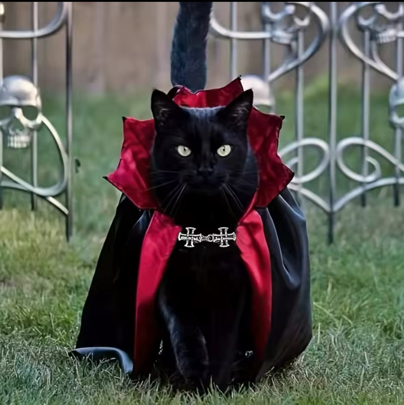 Purrsfurartu cat cape