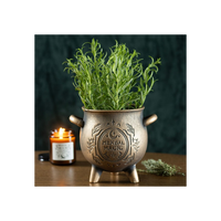 Herbal Magic Bronze Effect Terracotta Cauldron Plant Pot