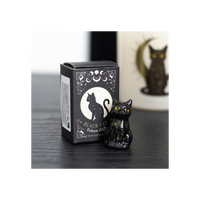 Set of 24 Black Cat Token Gifts in Display