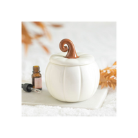 White Curly Pumpkin Oil Burner