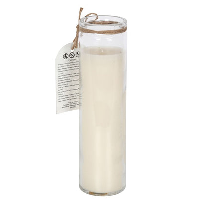 Coconut Moon Phase Candle in Glass Tube