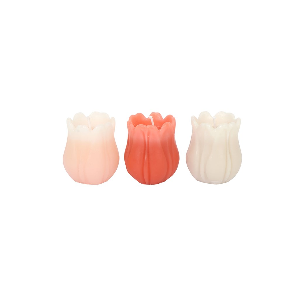 Set of 3 Tulip Shaped Candles