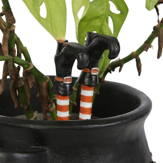 Set of 2 Witch Leg Plant Pot Ornaments